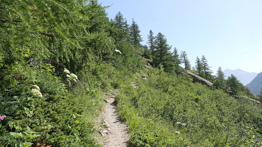 Ailefroide zum Refuge Sele