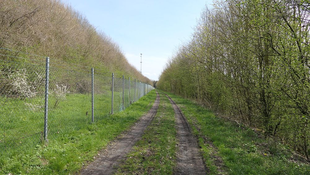 Selterklippen