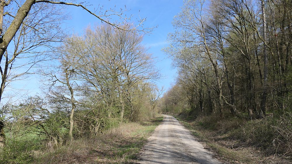 Selterklippen