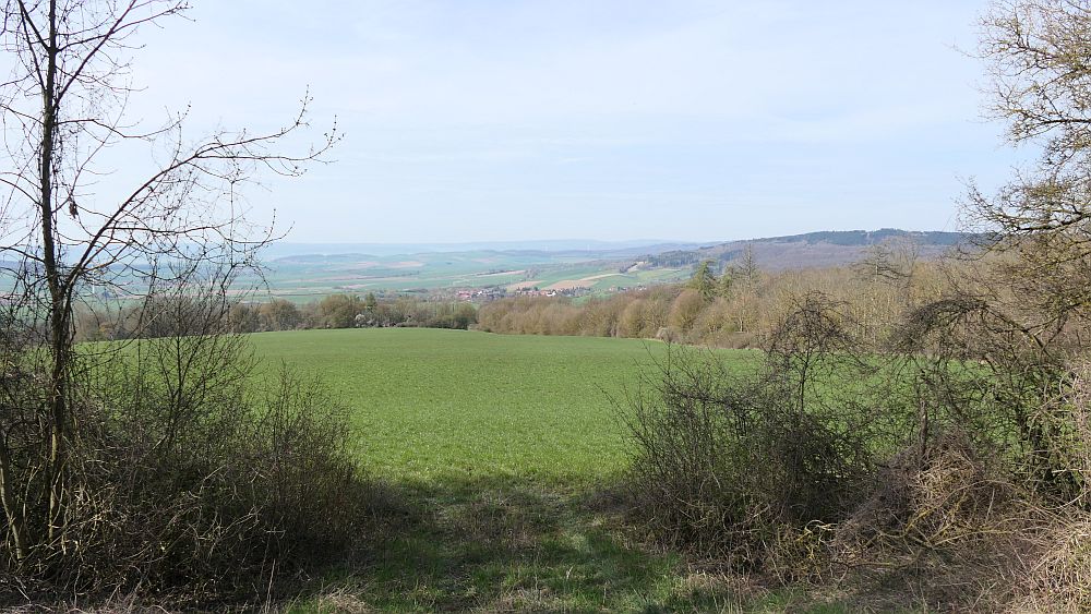 Selterklippen