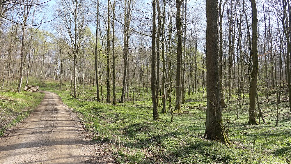 Selterklippen
