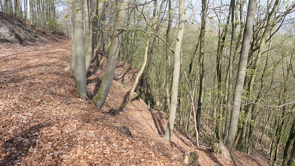 Selterklippen