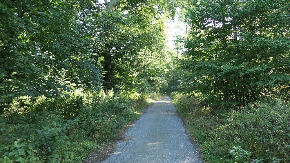 sintfeldhoehenweg