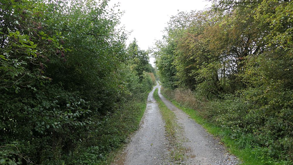 sintfeldhoehenweg