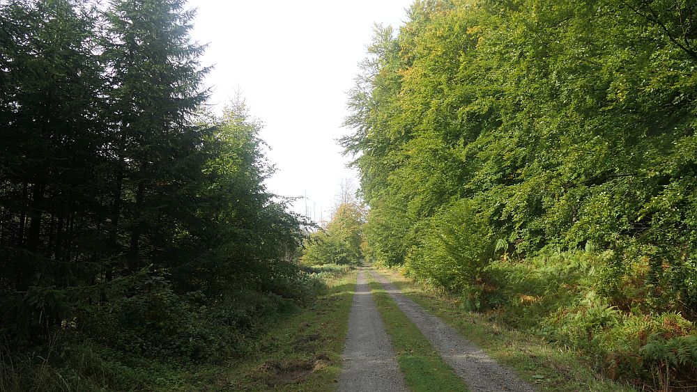 sintfeldhoehenweg