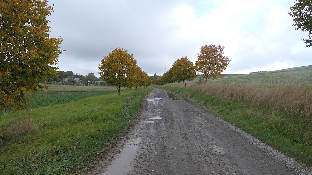 sintfeldhoehenweg