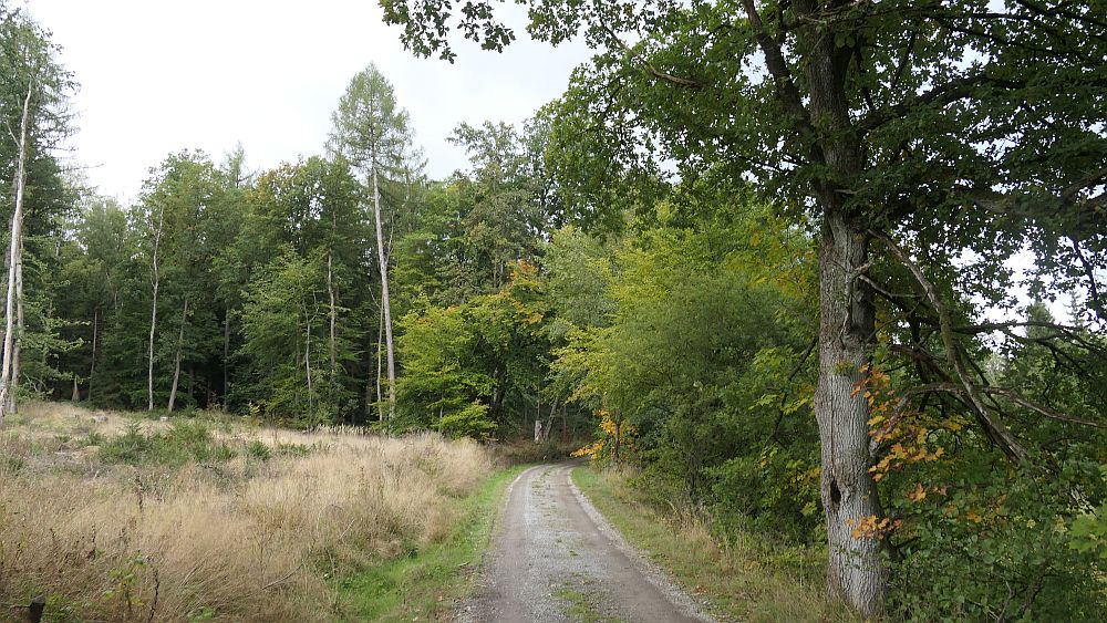 sintfeldhoehenweg