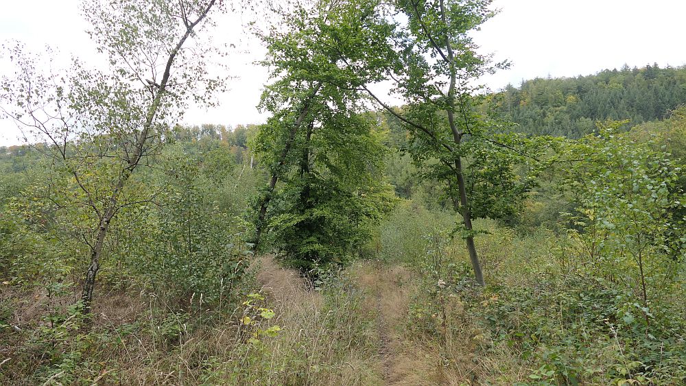 sintfeldhoehenweg