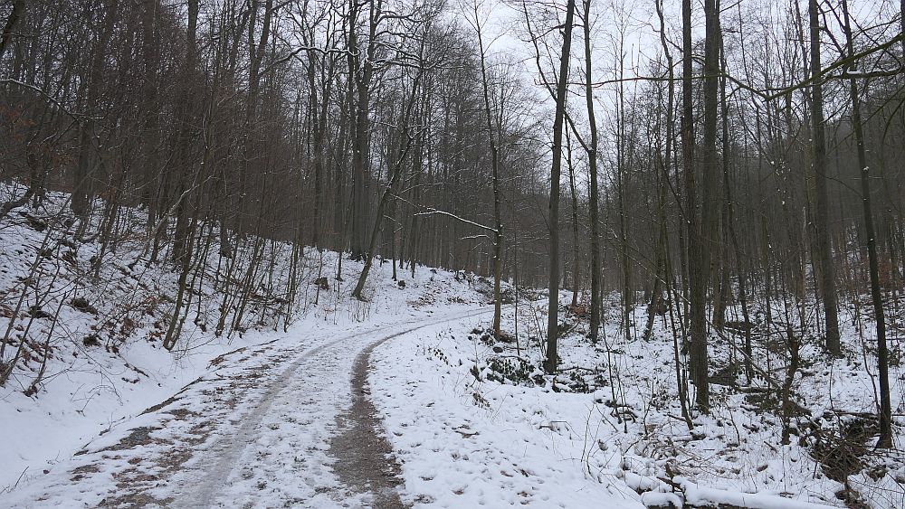 sintfeldhoehenweg