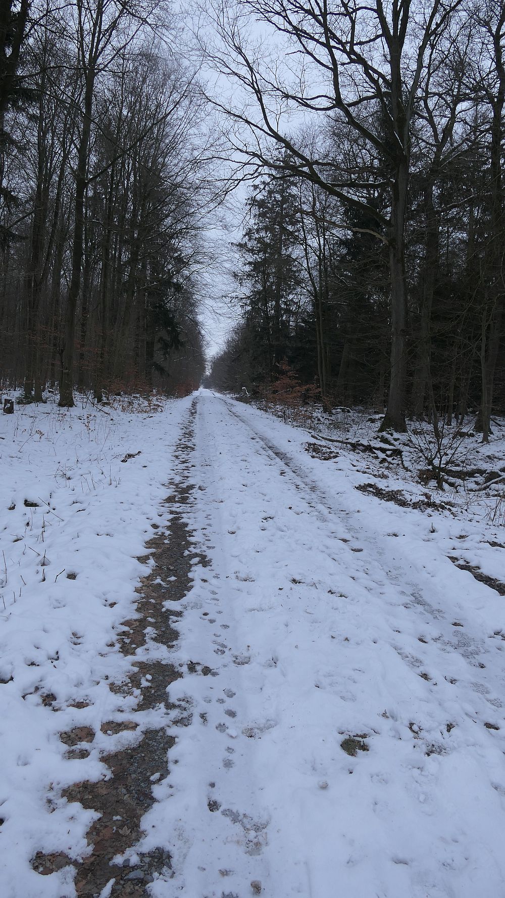 sintfeldhoehenweg