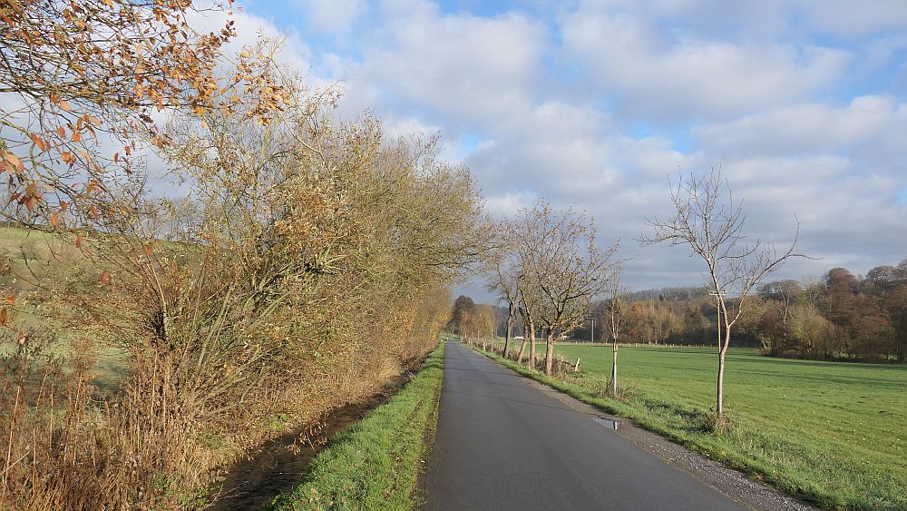 sintfeldhoehenweg