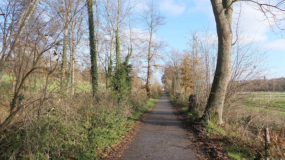 sintfeldhoehenweg