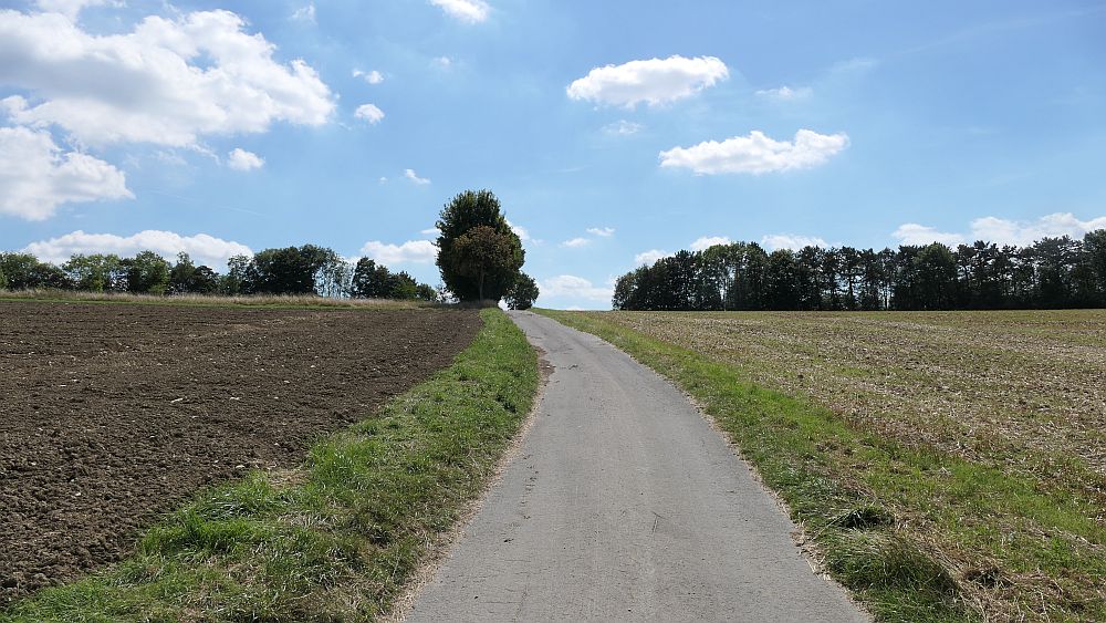 sintfeldhoehenweg