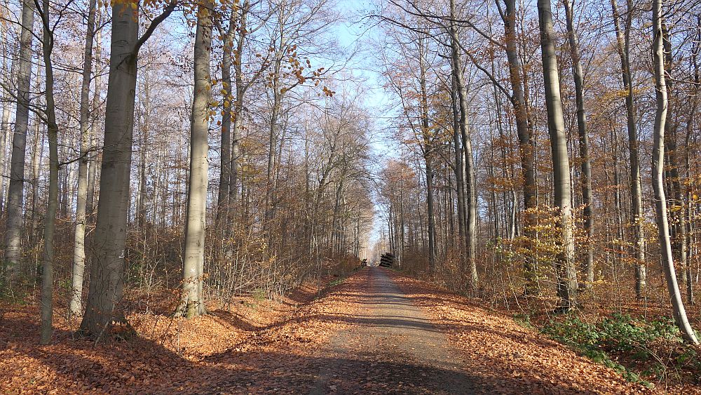 sintfeldhoehenweg
