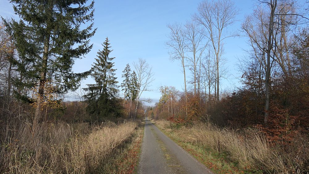 sintfeldhoehenweg