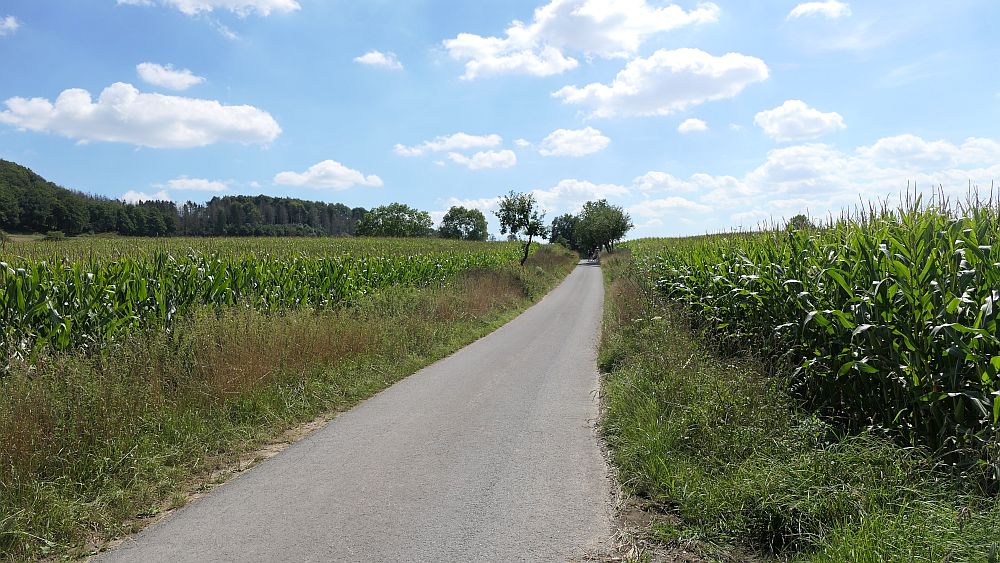 sintfeldhoehenweg