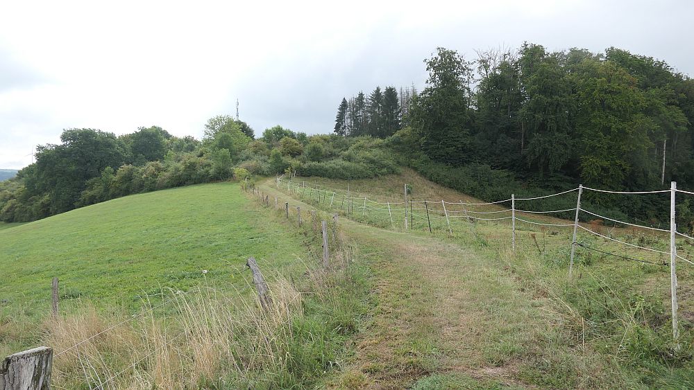 sintfeldhoehenweg