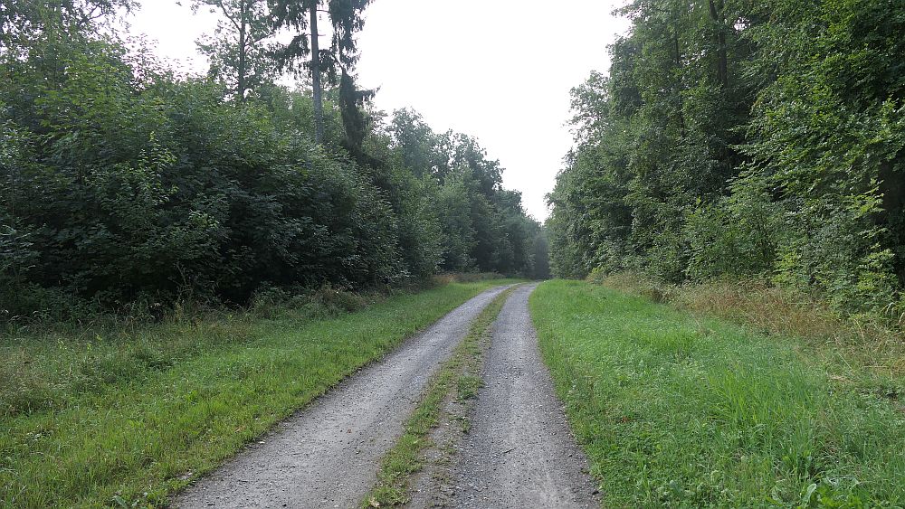 sintfeldhoehenweg