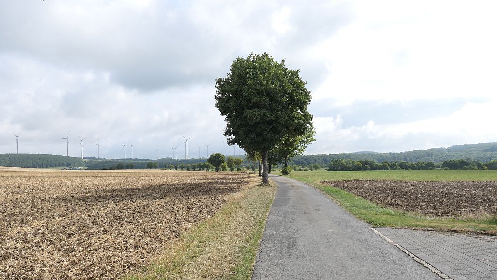 sintfeldhoehenweg
