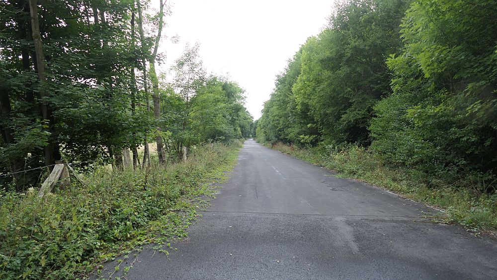 sintfeldhoehenweg