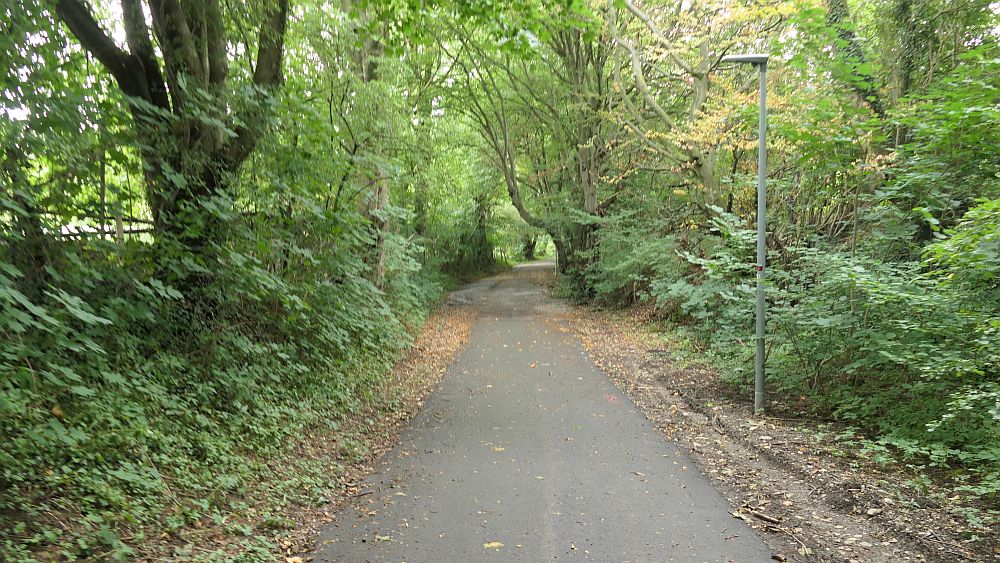 sintfeldhoehenweg