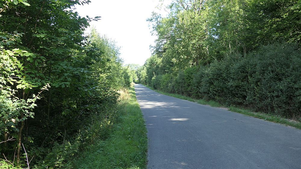 sintfeldhoehenweg