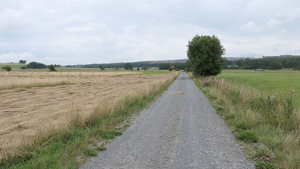 sintfeldhoehenweg