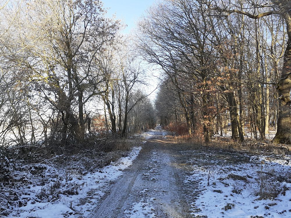 sintfeldhoehenweg