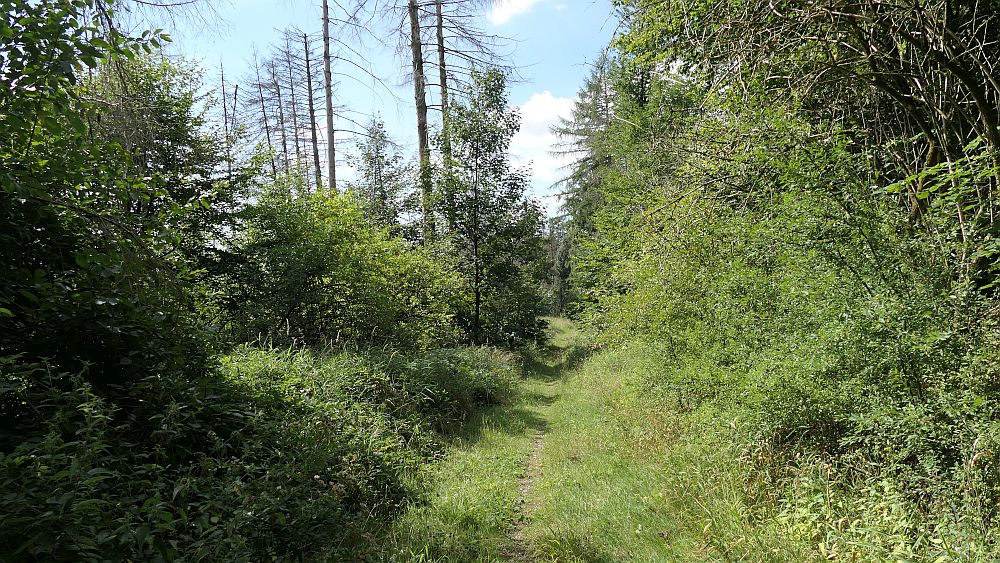 sintfeldhoehenweg