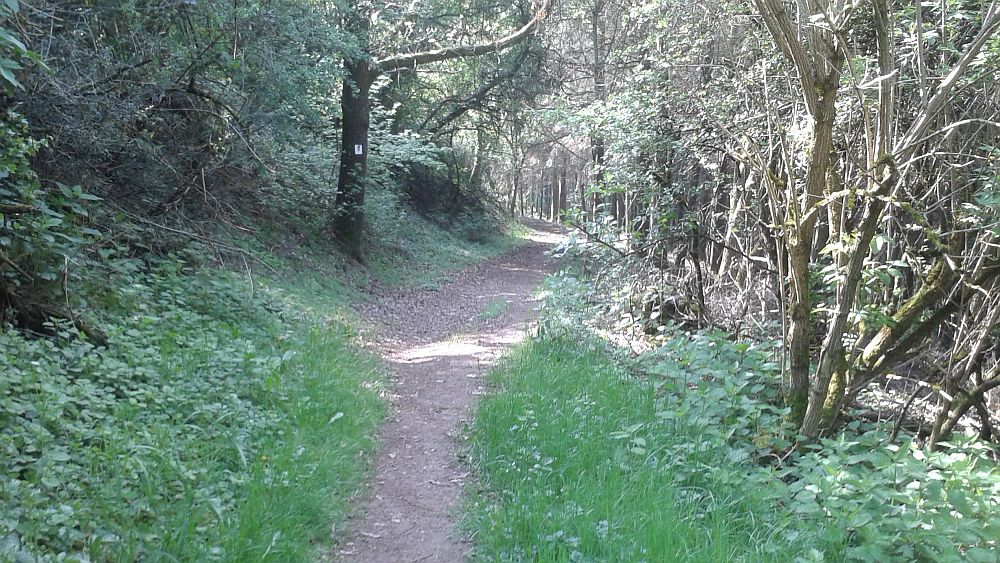 Soonwaldsteig