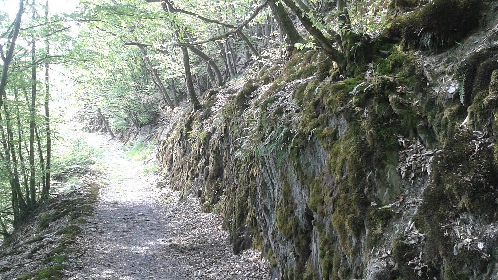 Soonwaldsteig