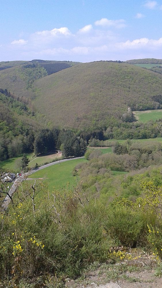 Soonwaldsteig