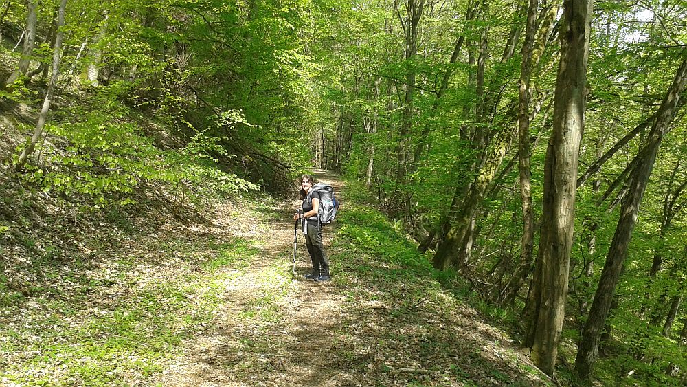Soonwaldsteig