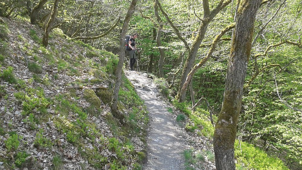Soonwaldsteig