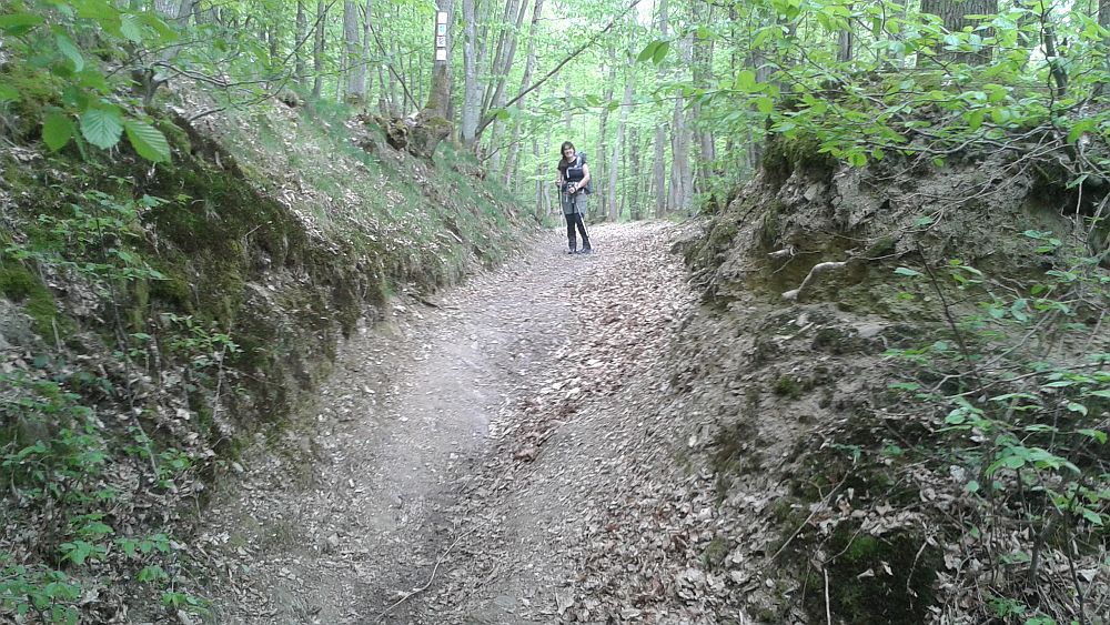 Soonwaldsteig