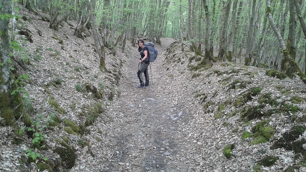 Soonwaldsteig