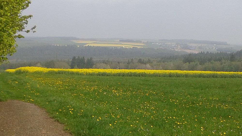 Soonwaldsteig
