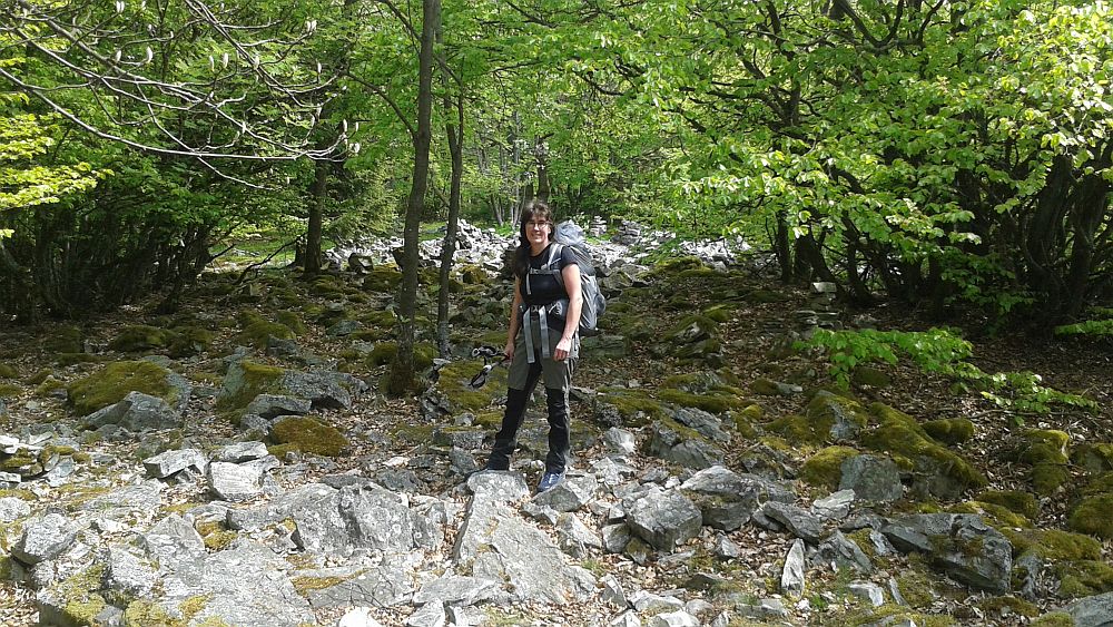 Soonwaldsteig