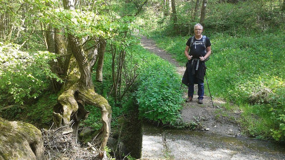 Soonwaldsteig