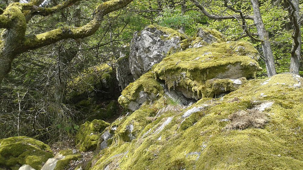 Soonwaldsteig