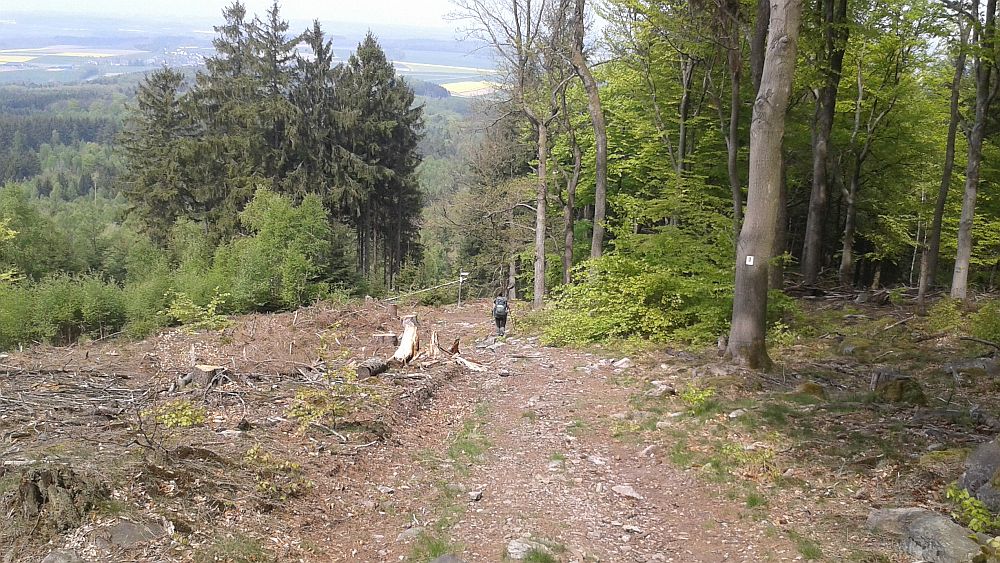 Soonwaldsteig