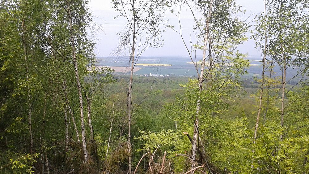 Soonwaldsteig