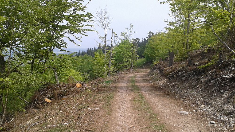 Soonwaldsteig