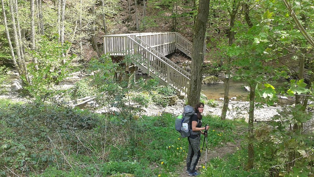 Soonwaldsteig