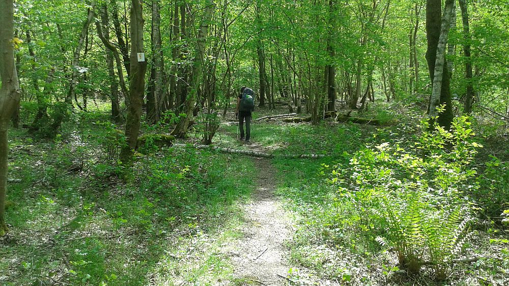 Soonwaldsteig