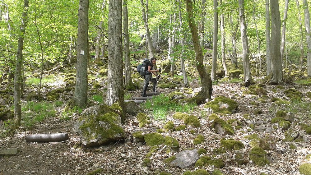 Soonwaldsteig