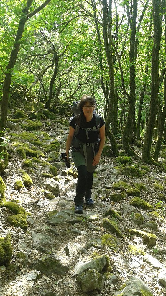 Soonwaldsteig