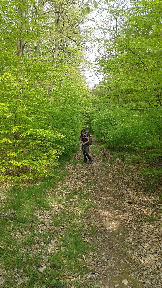 Soonwaldsteig