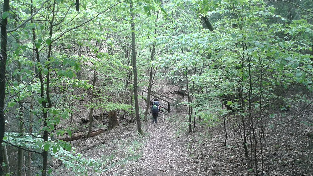Soonwaldsteig