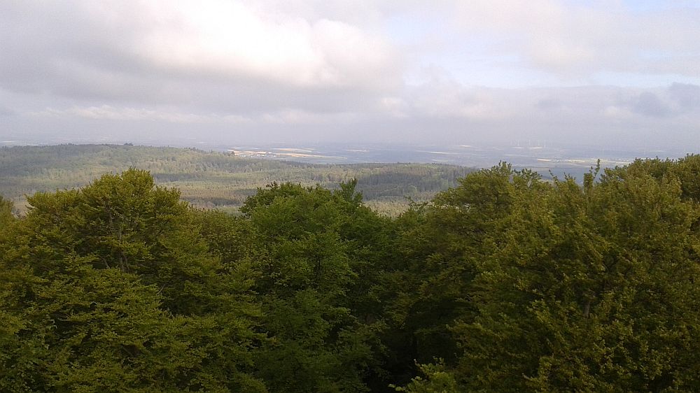 Soonwaldsteig